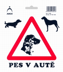 pes v autě